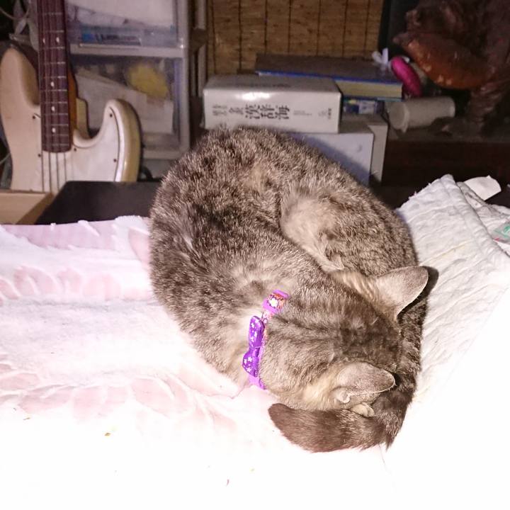 D54089e8 9199 4cb6 a7cb 745ee2b5f526 1591648320508