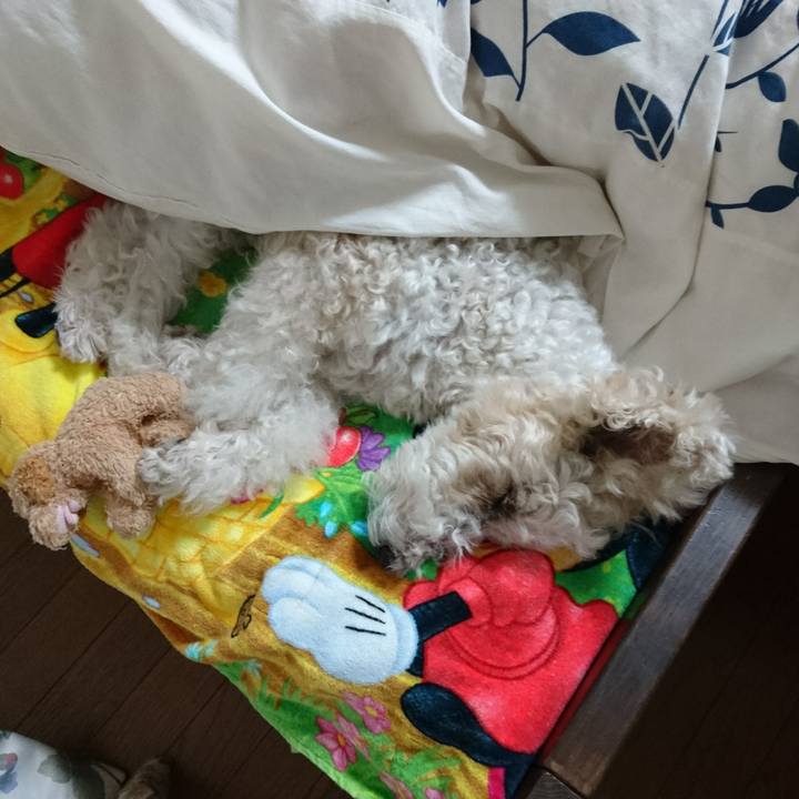 D5409b27 ddec 4f1a ae61 30c8ae12a840 1527780744493