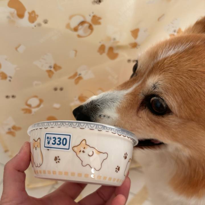 D540b590 dc47 415c b030 c9b6933eec7a 1769586411649