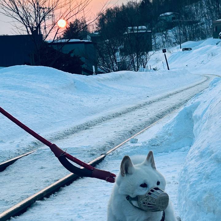 D540b792 4a93 4b9d b897 dd6224971e3f 1771625609879