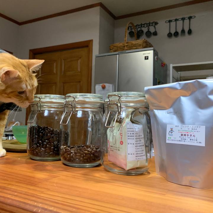 D540c29c bddb 47c8 9393 958d2d7cc1a0 1654354568640