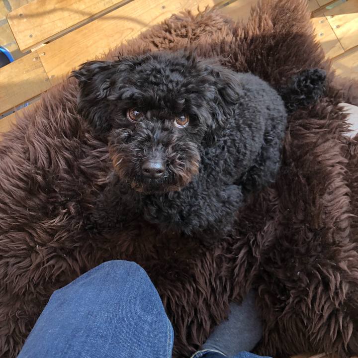 D540f02c 22eb 4b56 99eb 4915e5a79388 1519814902649