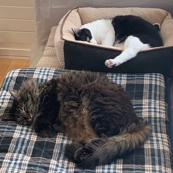 D54102d6 e0b9 4d67 a1d3 c3b4bfd31860 1709344100589