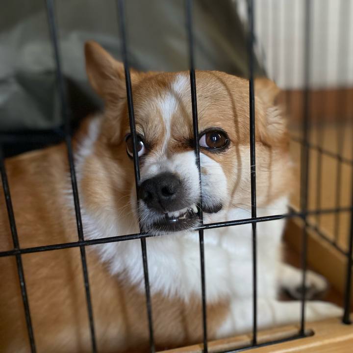 D5412004 08fd 457d 97f0 7442e8fe8c29 1753959426519