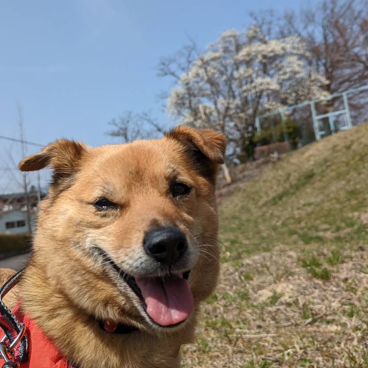 D5413605 2e11 4f5f bc2f 43e8a2d5c51d 1649686727720