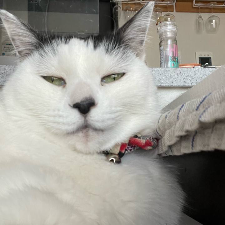 D541464e 78f5 4255 9168 c86068b4d915 1736466572359