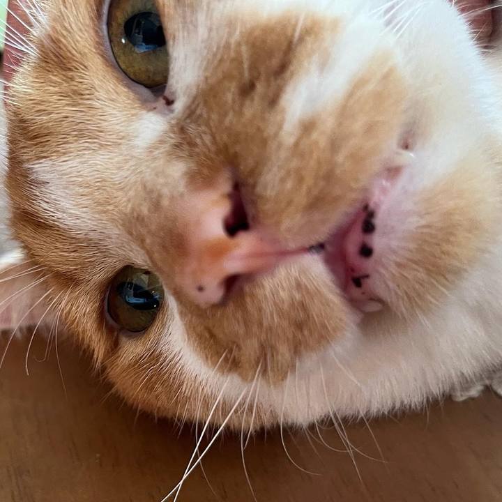 D541995c 1171 4da1 9d5b fbfa0bd3b7d6 1687744333063