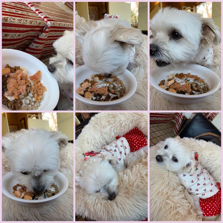 D541cc0f 2b98 4e6b 890e 6a956f1b0d5c 1634991025343