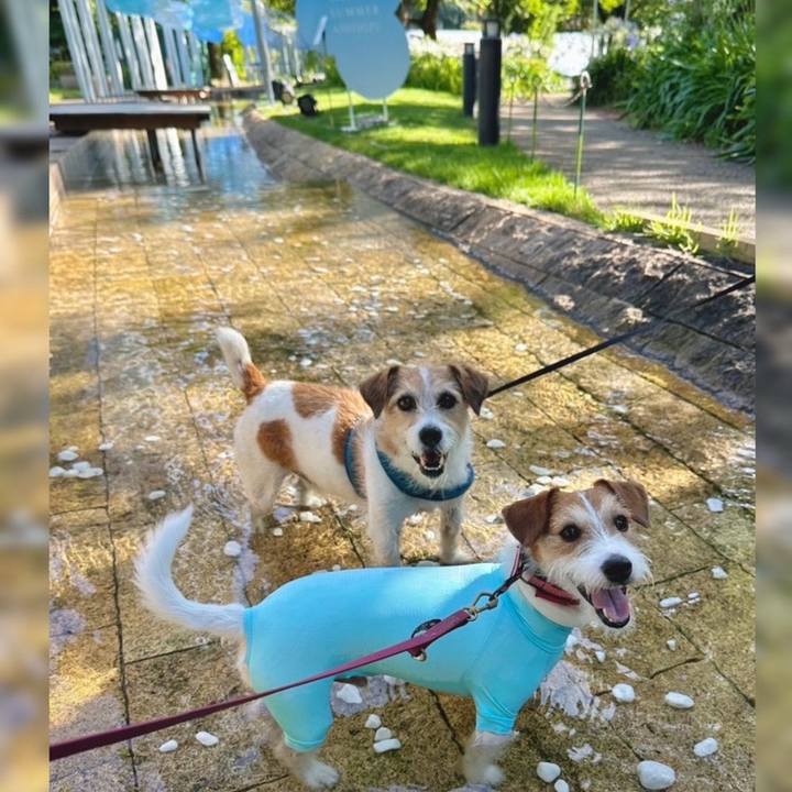 D541de94 153a 4075 b02c 11aefb39c80b 1752941991175