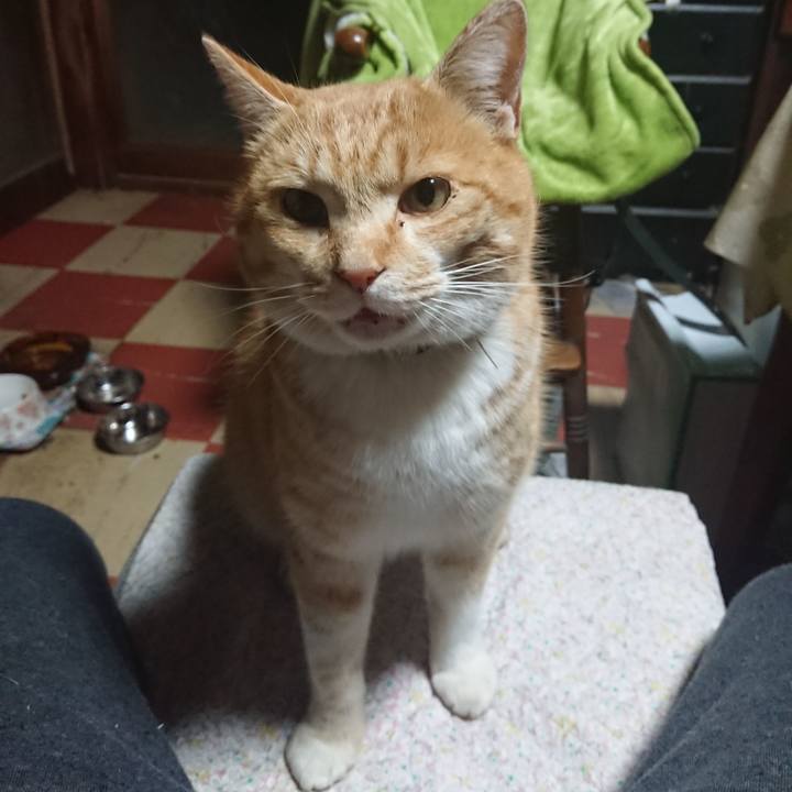 D541ffde c9f5 4d95 adeb 34c1d1f02ade 1582316831580