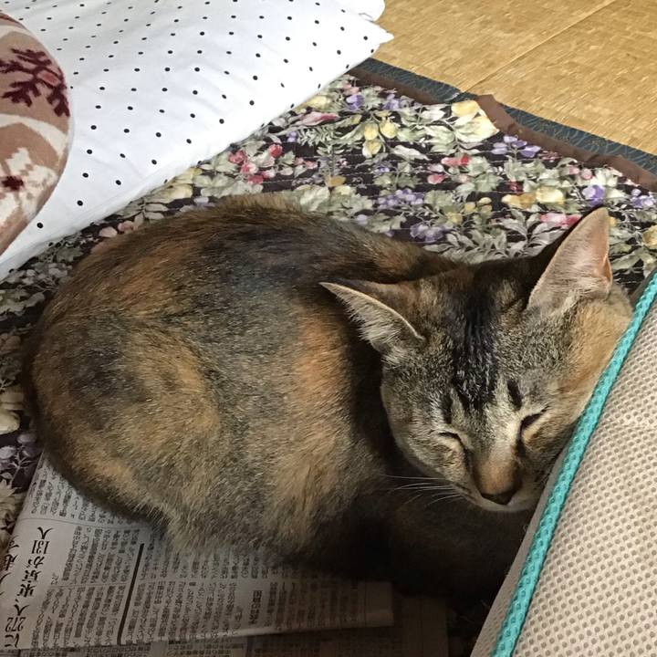 D5423d08 e468 4bf5 9f66 bb8b3669e0a5 1593920550115