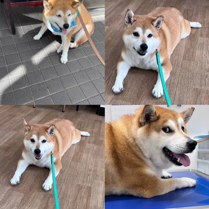 D54259d6 019f 49e5 be2d 7be0852c7af9 1691374698786