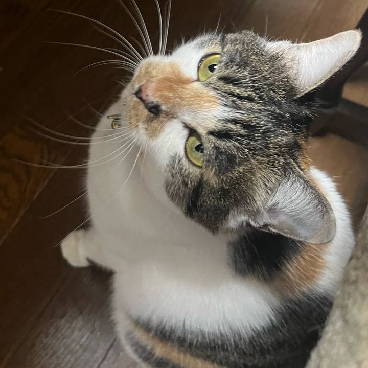 D542706a afd9 4156 afca 0836d1d3a200 1769173756098