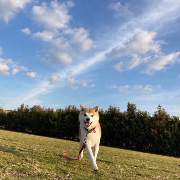 D5427531 f418 4251 9a13 5ddede2a34d2 1611614838401