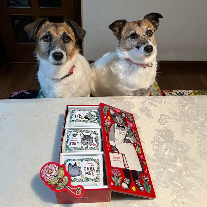 D542dcd6 a543 441f ac77 27fda576569d 1709217336473