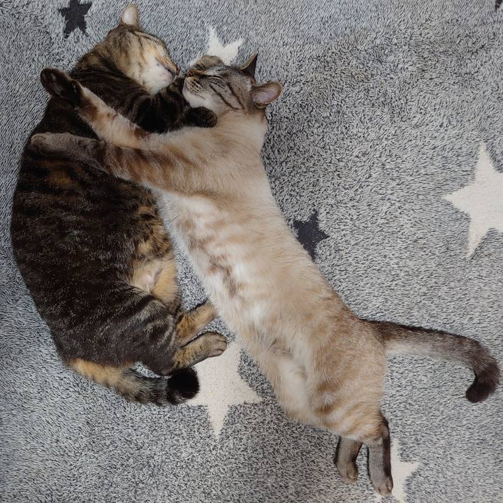 D54309de cb80 488e 9609 46103d1499c6 1623233049225