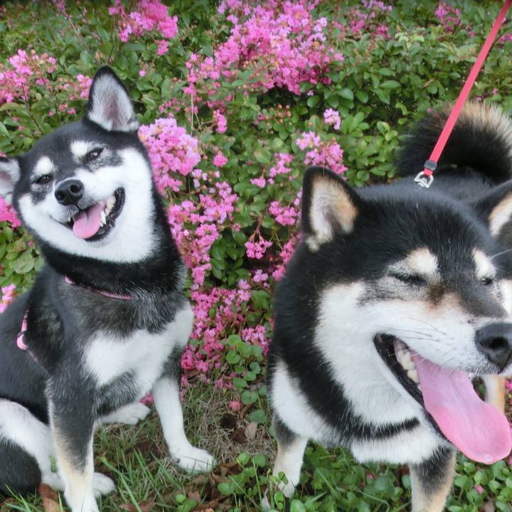 D543426a e342 4819 b6b6 85d1fba30441 1536635804989