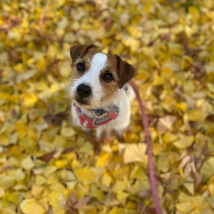 D543703d 9cb4 4eb6 83d0 d09387bfba84 1702182231690