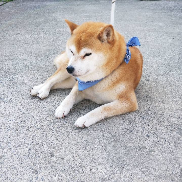 D54373fc 98bb 4aca 8739 2129a0c182f9 1560465955946