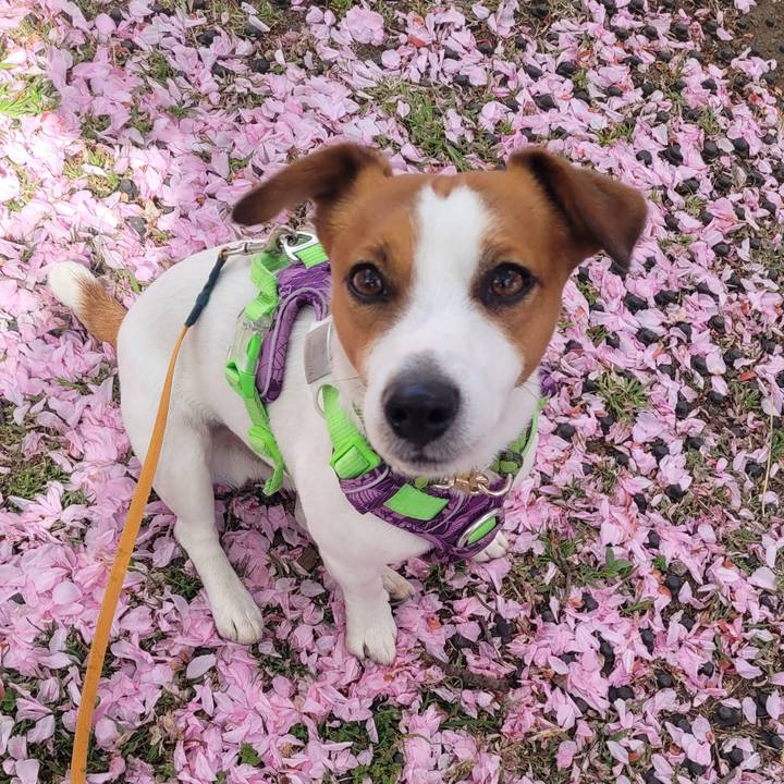 D544064c e7c2 4a0b a7d4 5ef3074270c2 1681429337171