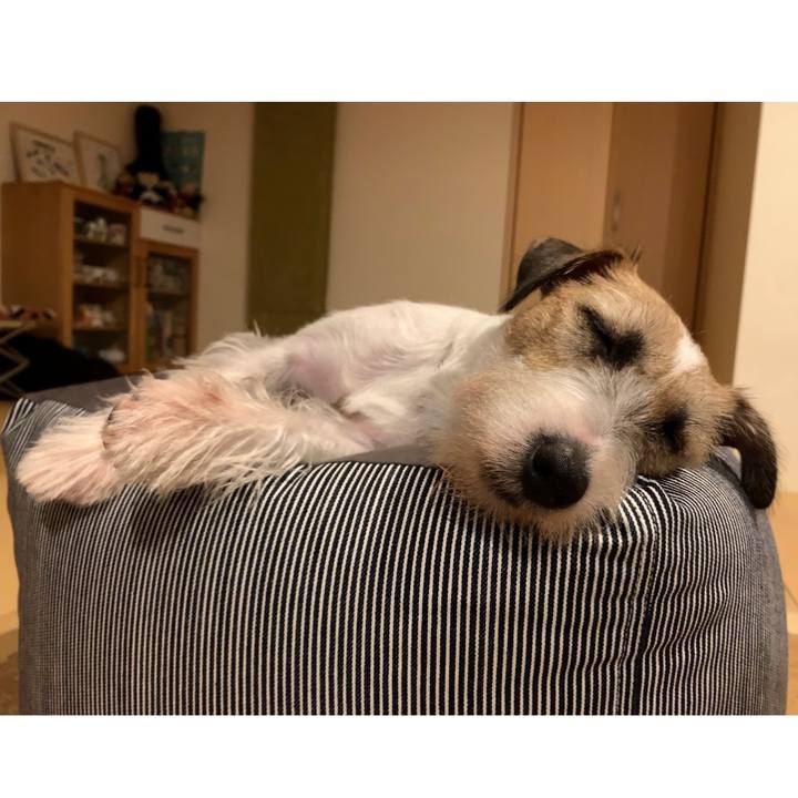 D54433fd 1fbc 4ba7 aa55 fd987722d888 1598450228382