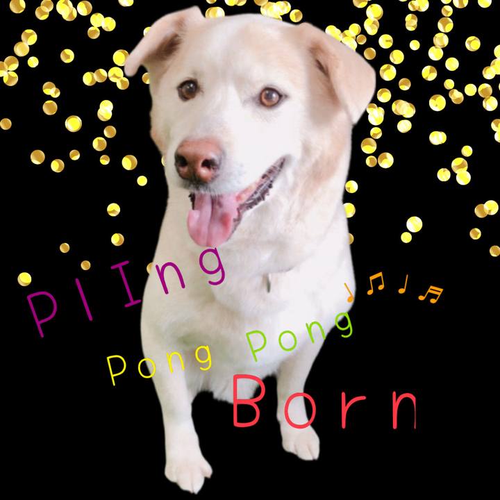 D5444897 c1c8 4b3a becb b9362a487a25 1709973545203