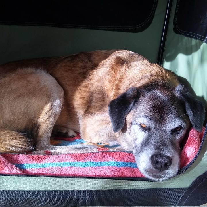 D544810d 6d9e 4fb3 8bef 576d255f727d 1575424988780