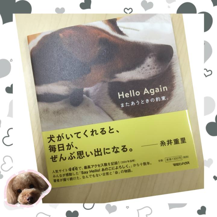 D5448466 6d85 4295 ab73 a4b5aca61c90 1522997299345