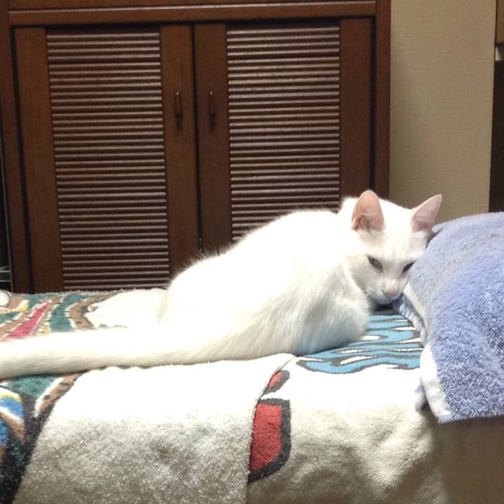 D544c880 1c03 4aa0 82a1 b29910871b4e 1628596262917