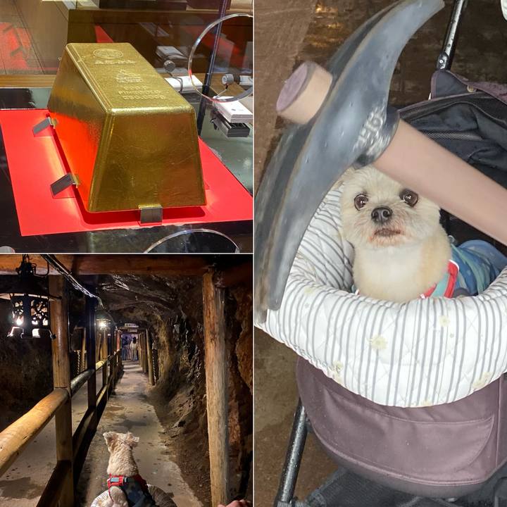 D544e85e 3794 465d 883a f28f01a90223 1716805252040