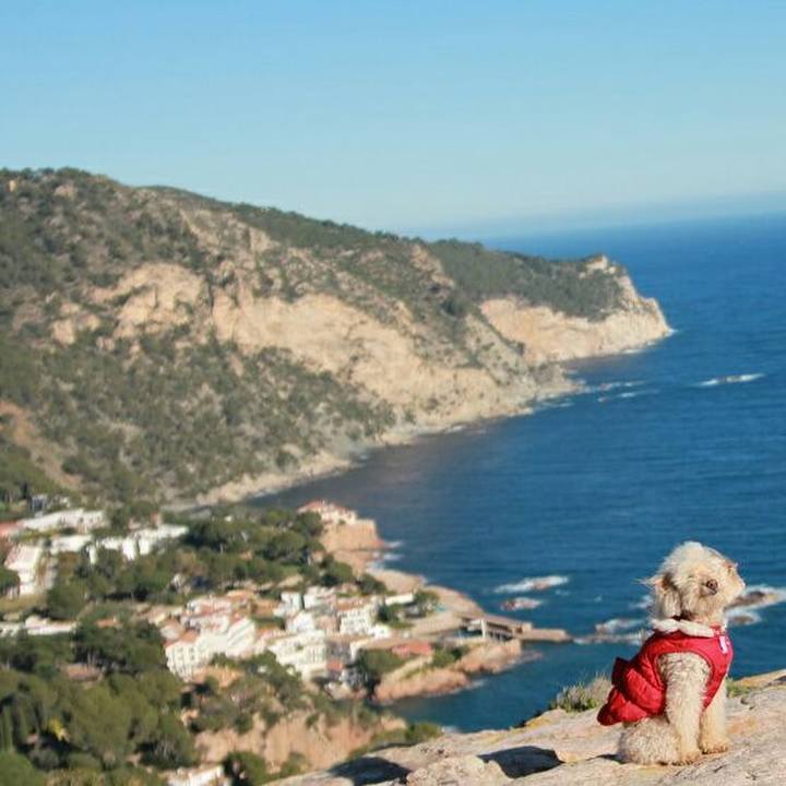 D54511bd d484 469b 9459 53fd995f2c57 1579613758582