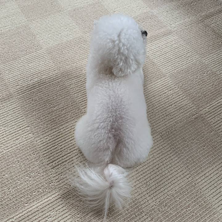 D5458593 65ee 4973 bd47 019da36477a4 1552787027310