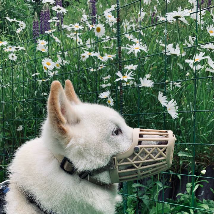 D545c9e5 2171 4a8b 9c4a a3f109cdaa2d 1623463416119