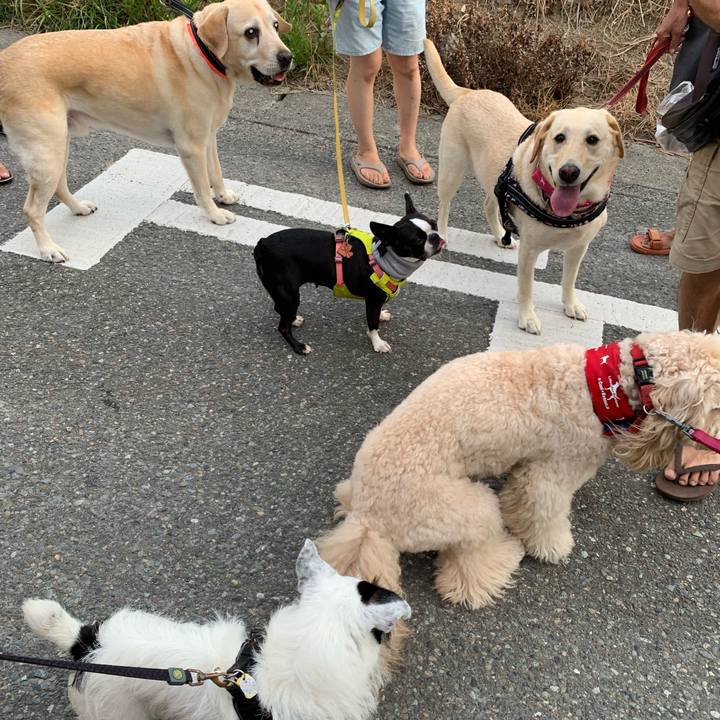 D545cd8b ec0e 4308 ad1f 7a15034a6c6d 1752917786484