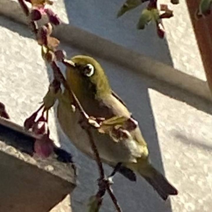 D545d497 4997 4991 8ab9 2524b6a48d37 1706713297465