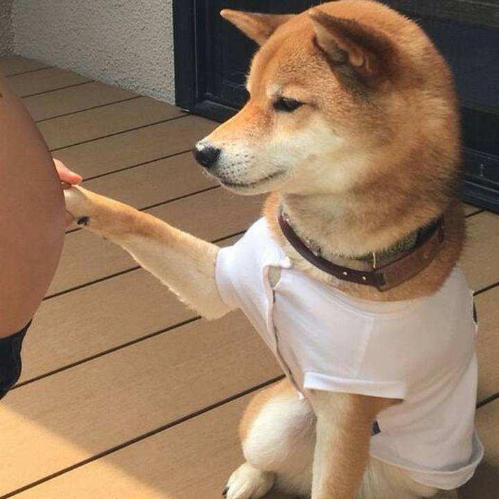 D546535b 902a 4216 8ab9 d4fa5a03062c 1526636585478