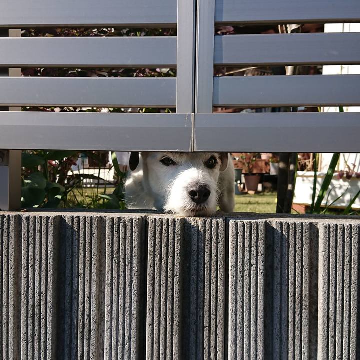 D546939f 11f7 4695 bb38 8570a9e51fd1 1545088460564