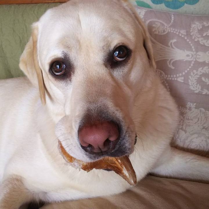 D546afd8 67c3 420f a586 5132a18b3f2e 1526100595093