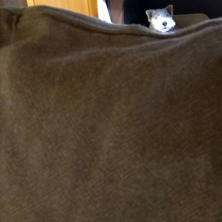 D546cd57 3760 4cb2 99a8 a427892e2f7a 1615851043068