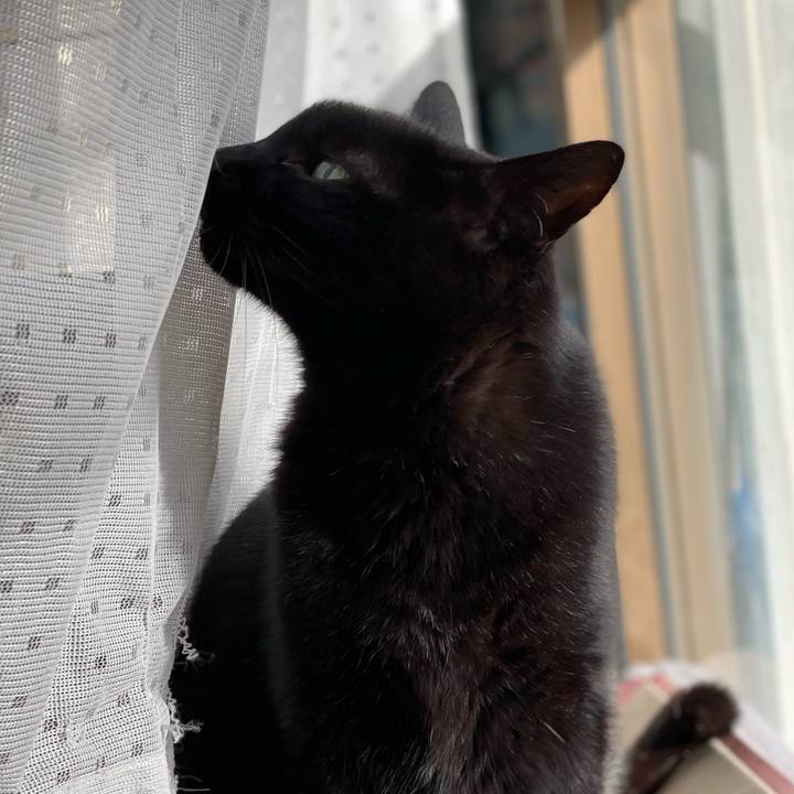 D546e65f 83e7 450b 806c 88e12f90cf9c 1638323669797