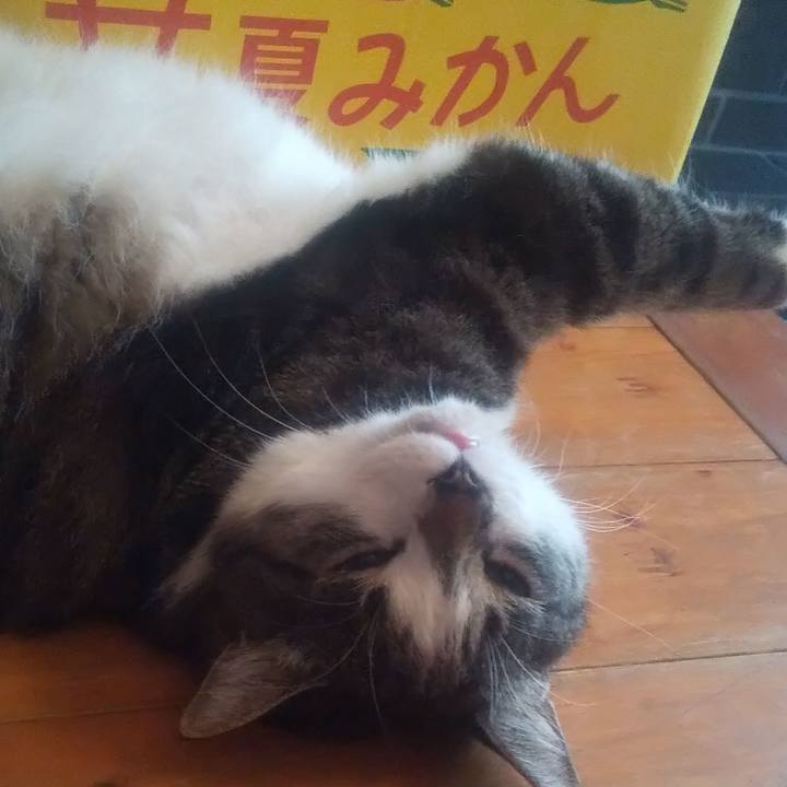 D546f1a0 7645 4dcb a6cf f74da5cd2caa 1689587413466