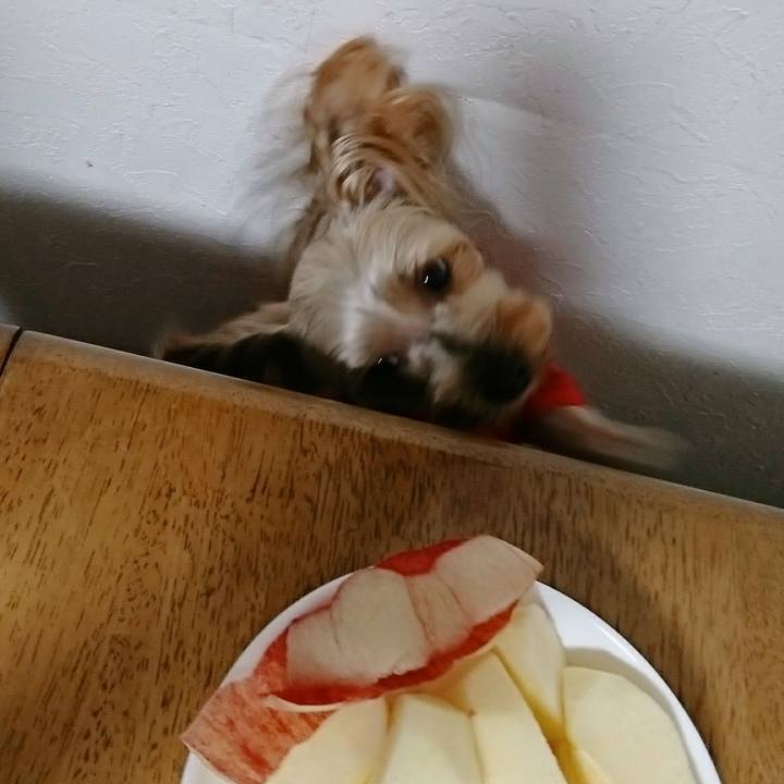 D5476611 a703 4e1d ac5c dd85bc3c57fe 1507799915432