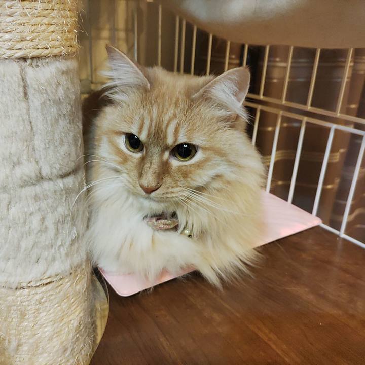 D5479cda 7c0e 426b afdd fb7fd26a8ba3 1675894556662