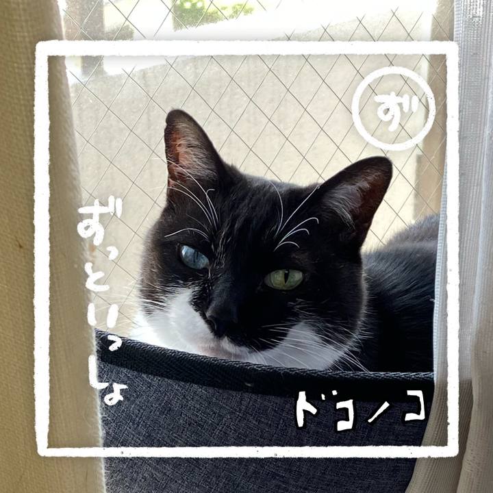 D547e0b1 b9d7 419d ba48 0c51d54782bf 1685956973824