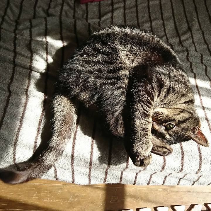 D547e76f bac7 478f 8640 e98efbc3b2fd 1519869497781