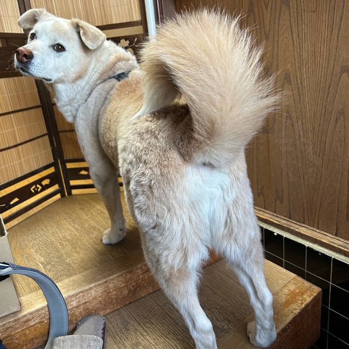 D548033d dbb9 401d 8f90 51152bf1fbbf 1740702688720