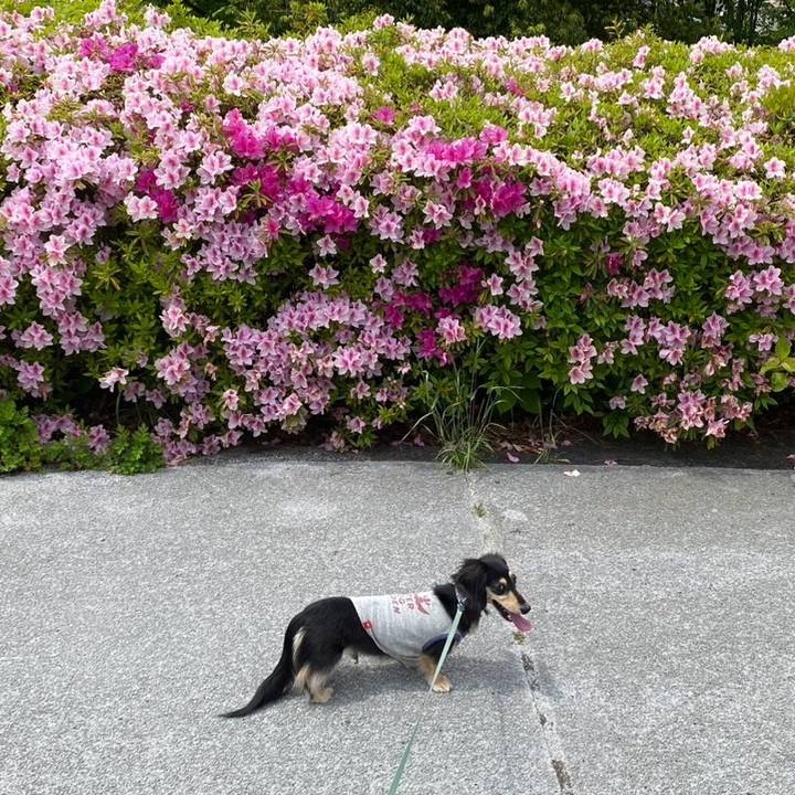 D5481791 313f 4d41 b91a 825302466ae3 1746407058619