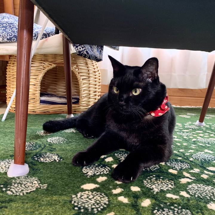 D5482b8d 0ea9 4229 9495 99253b8e3451 1597990992836