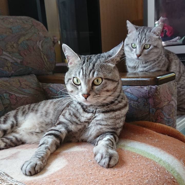 D5487d30 5ba8 4449 b21a a751e588ff61 1556587703483