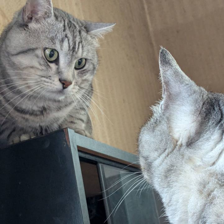 D5487e6d ea61 42f0 abac 0d1b4d822069 1722933291872